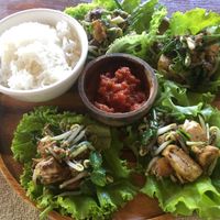 Laab  at Two Little Birds in Luang Prabang