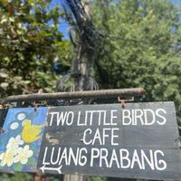   at Two Little Birds in Luang Prabang