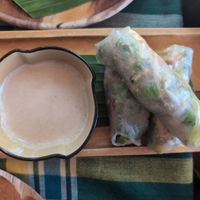 Rice paper rolls at Two Little Birds in Luang Prabang