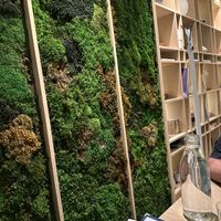   at Bloom Sushi in Montreal