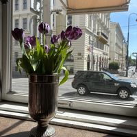   at Café Eiles in Vienna