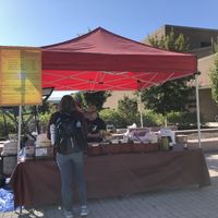 Stand at Cornell Farmers market  at On the Street Pitas in Ithaca