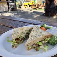 Avocado Sando with tempeh  at Toasty in Bend