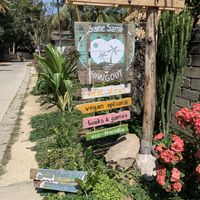 SameSame at The Spot in 