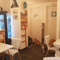  at Gatto Bistrot in Portici