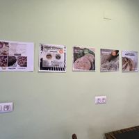  #Veganuary at MacroVital in Alcoi