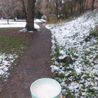 red panda pumpkin spice chai latte (special winter drink) at Café Wertvoll in Marburg