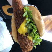 Chicky sandwich  at Shahar Cafe in Louisville