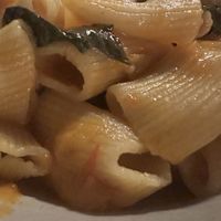   at Somebody People in Denver