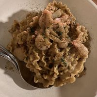   at Somebody People in Denver