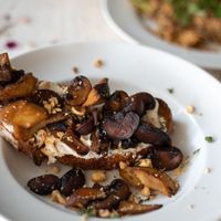 The Mushroom toast has a layer of creamy almond ricotta, chunks of hazelnuts, garlic, and is lemony. It’s savory, nutty, with a pop of lemon that is surprising and incredible.

 at Somebody People in Denver