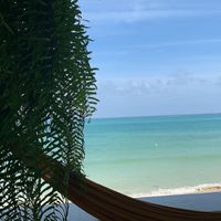 The view is to die for and so peaceful  at Foods & Roots in Koh Phangan