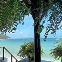 View at Foods & Roots in Koh Phangan