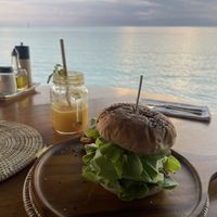   at Foods & Roots in Koh Phangan