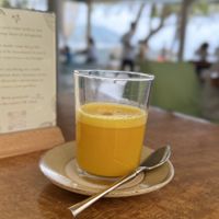 Virus fighter  at Foods & Roots in Koh Phangan