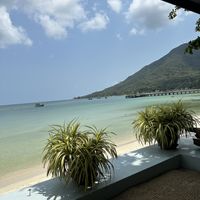   at Foods & Roots in Koh Phangan