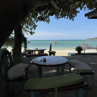   at Foods & Roots in Koh Phangan