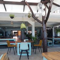 Interior at Foods & Roots in Koh Phangan