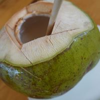 Coconut at Foods & Roots in Koh Phangan