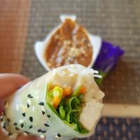 Spring rolls were aaaaammmaaazing at Rakpak in Koh Samui