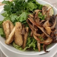 Hi Tieu noodles at Khong Vegan Restaurant  in Da Nang