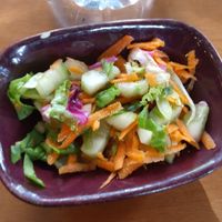 Complementary salad on the house ! at Gabo Kitchen in Ankara