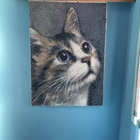   at Little Big House in Thessaloniki