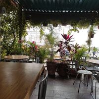 Terraza at Choclo y Maíz Cocina Vegana in Guadalajara