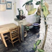 Nice ambience at Choclo y Maíz Cocina Vegana in Guadalajara