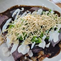 Enchiladas de mole negro at Choclo y Maíz Cocina Vegana in Guadalajara