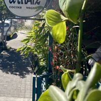   at Choclo y Maíz Cocina Vegana in Guadalajara
