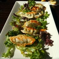 Kale potstickers vegan at Elevation restaurant in Minot at Elevation in Minot