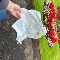 Sorry, forgot to take photo of the food but here is the empty wrapper to show how delicious it was …😄 at Okra in Shrewsbury