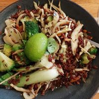 Wholegrain rice brocoli pak choi and tariyaku sauce at Wok On in Copenhagen