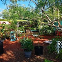Beautiful garden at Irie Island Eats in Marathon