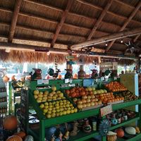 Farmers market at Irie Island Eats in Marathon