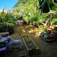 Garden inside at Irie Island Eats in Marathon
