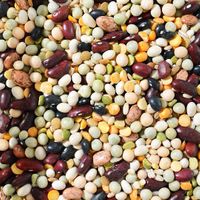 Soup Mix at Bulk Barn in Dieppe