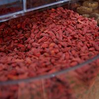 BAYAS DE GOJI at Buena Vida in Montevideo