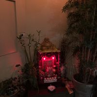 Interior   at Element Five in Berlin