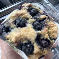 Blueberry Muffin  at Sweet Rose in Fall River