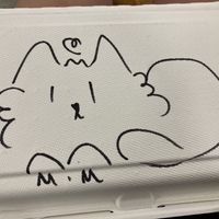 To go box (a little huge for my one item, but cardbord and with my own personal cat drawing)  at Gran Tirano in Valparaiso