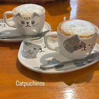 Soy capuchino   at Gran Tirano in Valparaiso