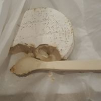 Camembert Cheese at TreeNut Cheezery in Ubud