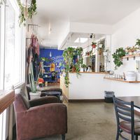 Interior at Ultreya Coffee and Tea in San Diego