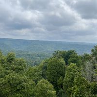  View 💚  at Eco Cafe 2 in Banjar
