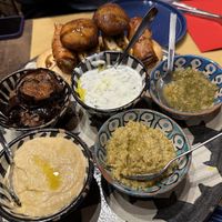   at Africa Experience in Venice