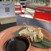 Gyoza  at UDON in Valencia