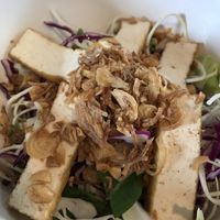 Vegan salad at Pho Ba Luu in Louisville