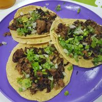 Tacos de machito at El Veganito Mixe in San Luis Potosi